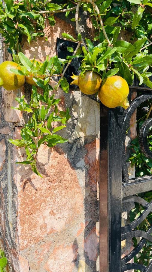 Vila Natali Himarë Dış mekan fotoğraf